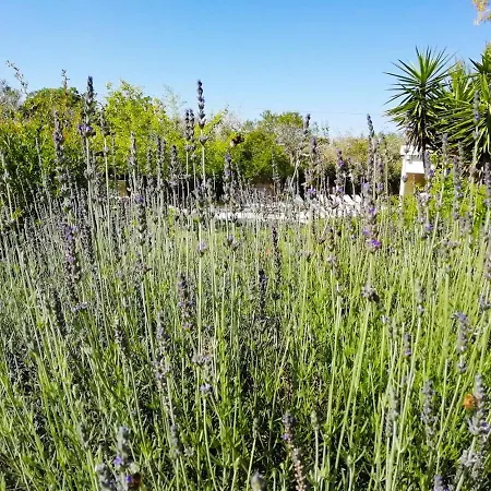 Villa Lavanda Castri di Lecce
