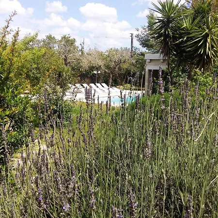 Lavanda Villa Castri di Lecce